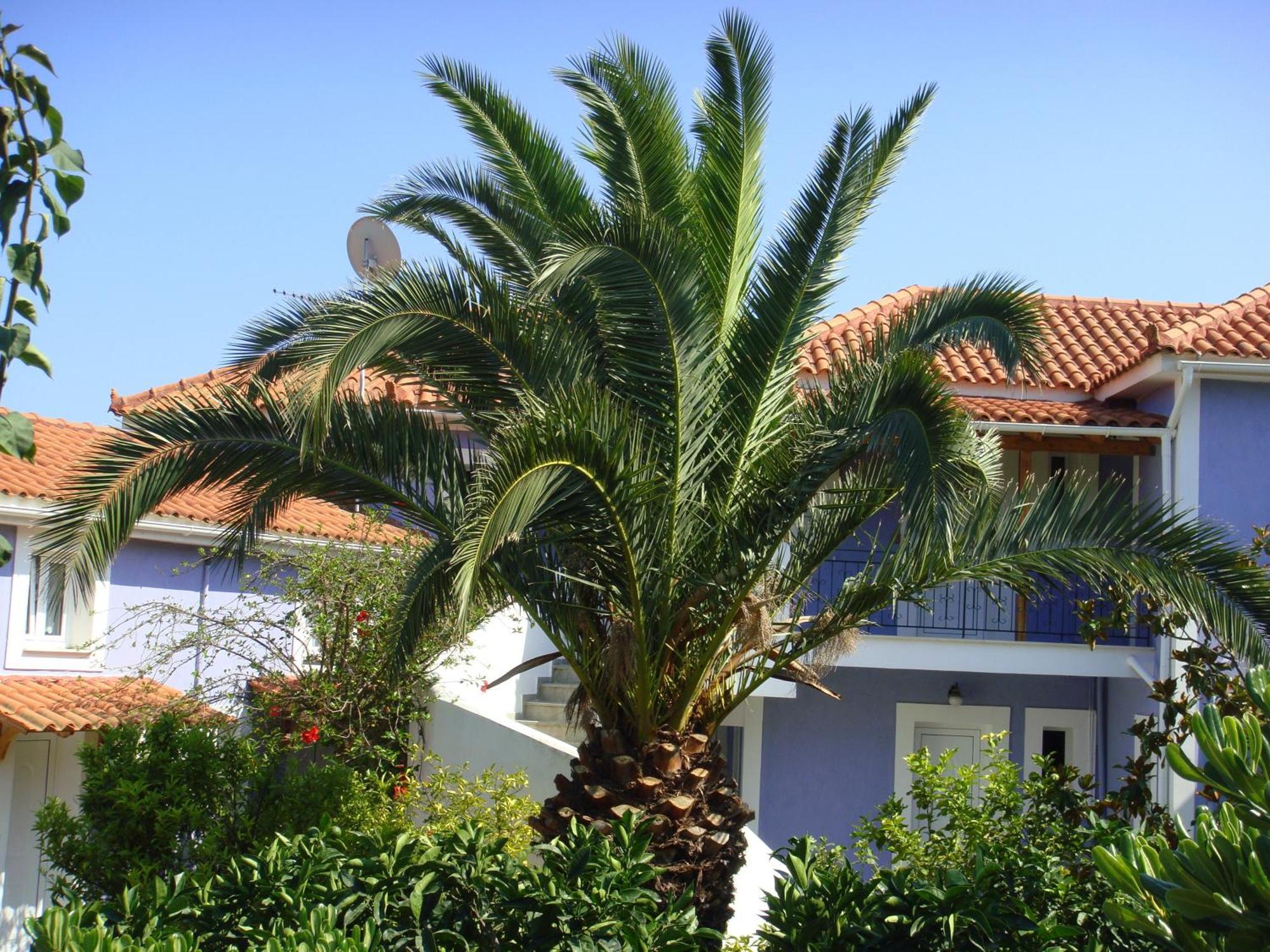Villa Eliza Skala  Exterior photo